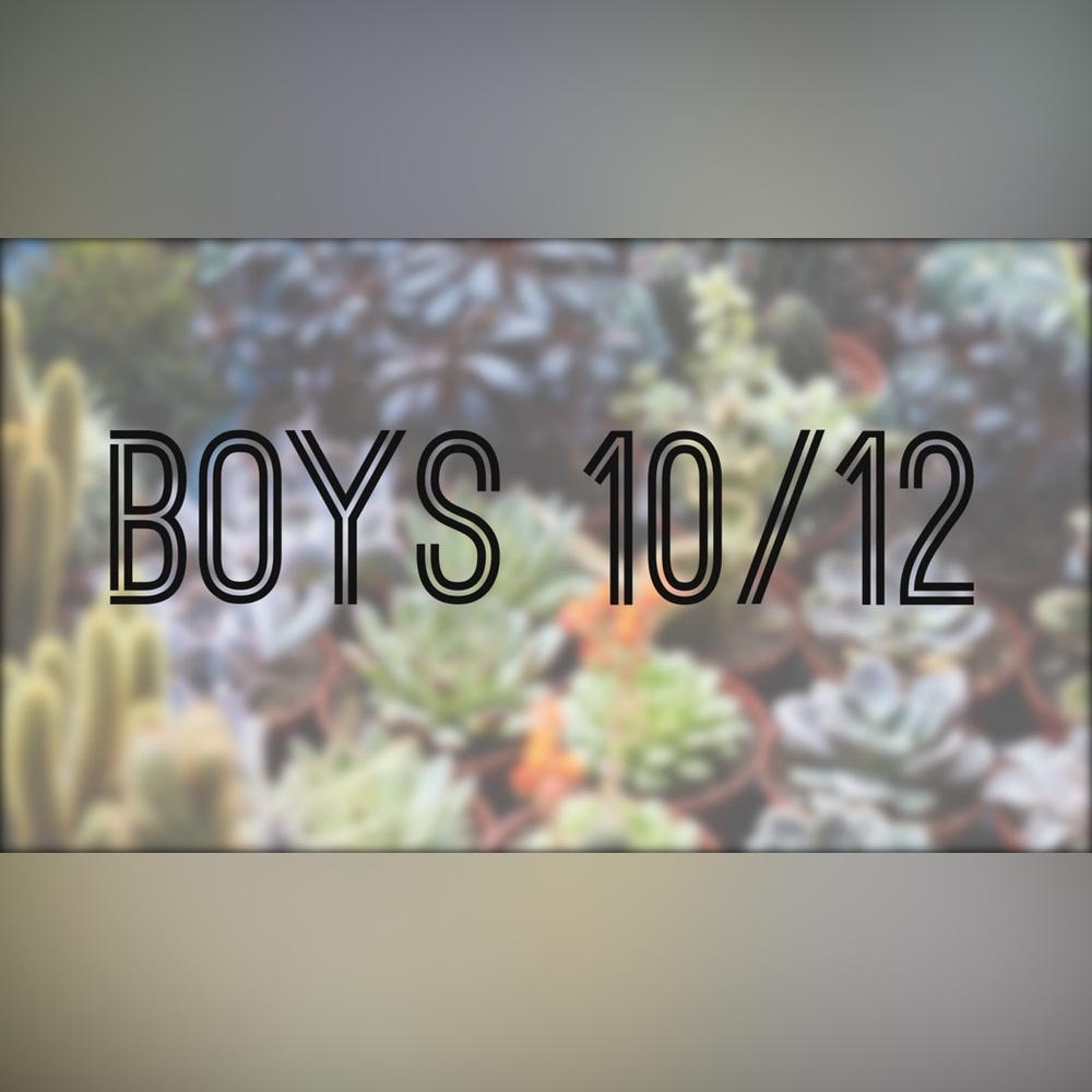 Boys 10/12 closet